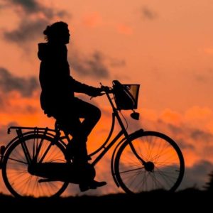 woman riding bicycle